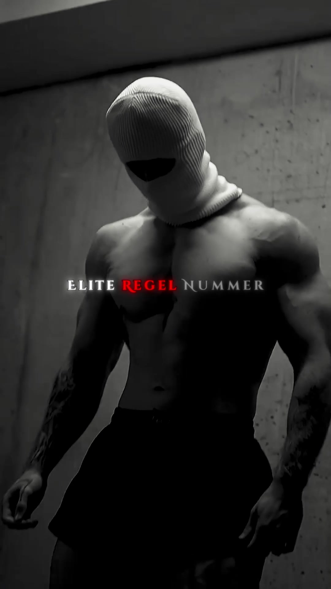 @Elite Rex