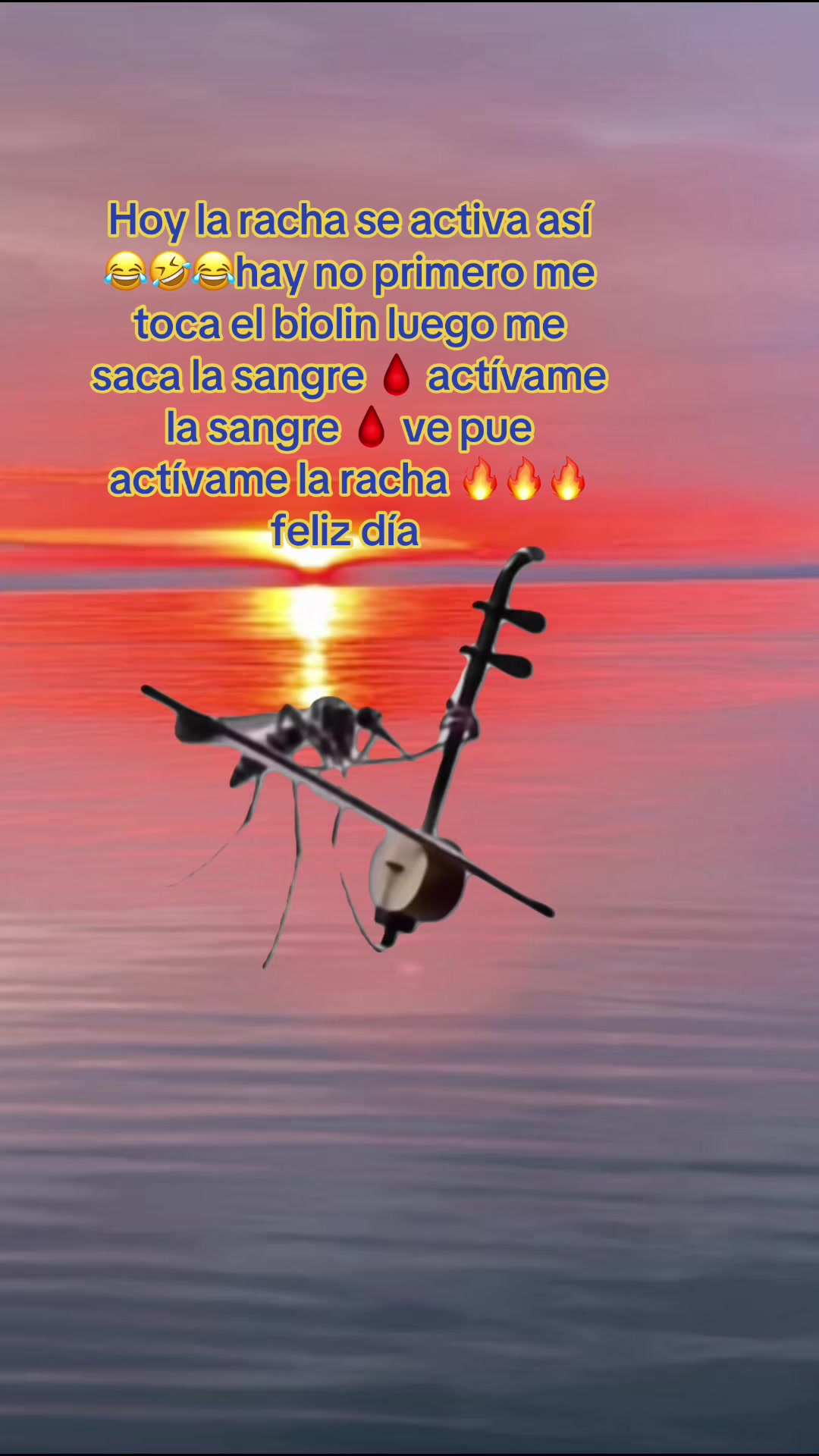 @โ๏ธSANDRY๐ฆโค๏ธ๐โ๏ธ๐ฆ๐๐ฆ