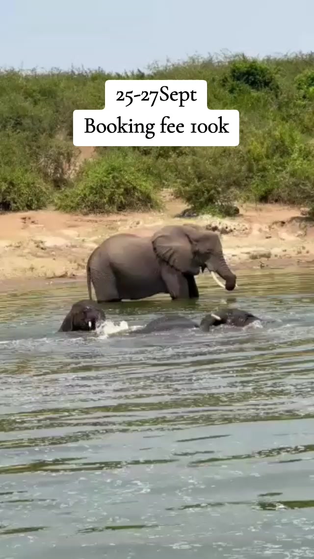 @marbanjisafaris