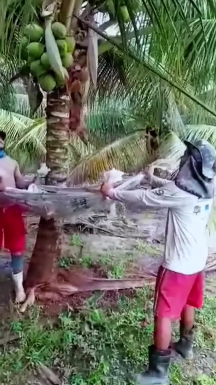 @old.random.video
