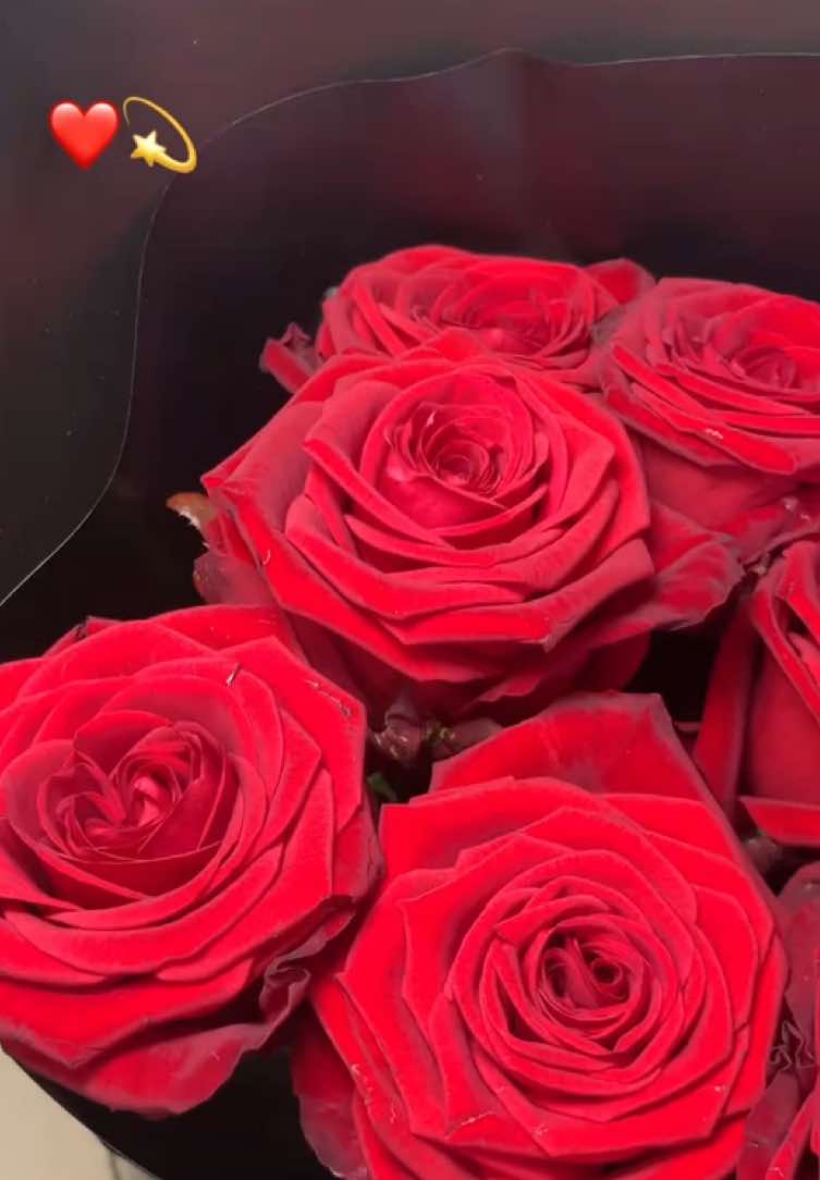 @𝓴𝓪𝓶𝓲𝓵𝓪.𝓼𝓸𝓯𝓲𝓲𝓪 🪽