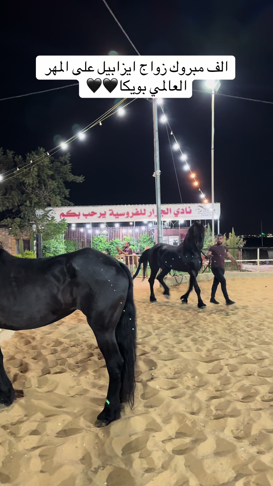 @المحاسب ياسر ابو بكر