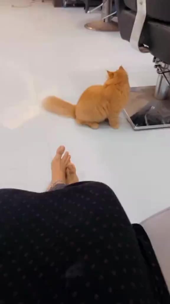 @๐๐๐ท๐ฐ๐ค