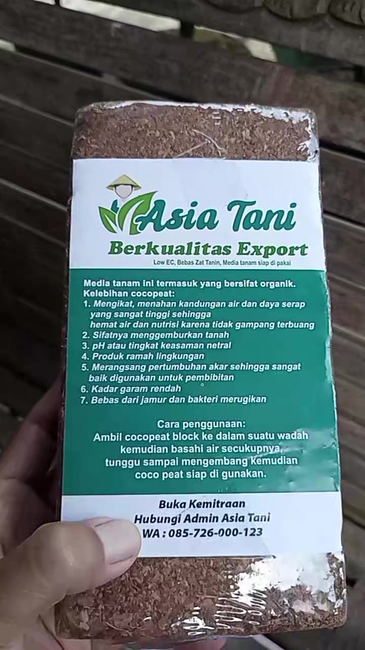 @Berkebun Berkah
