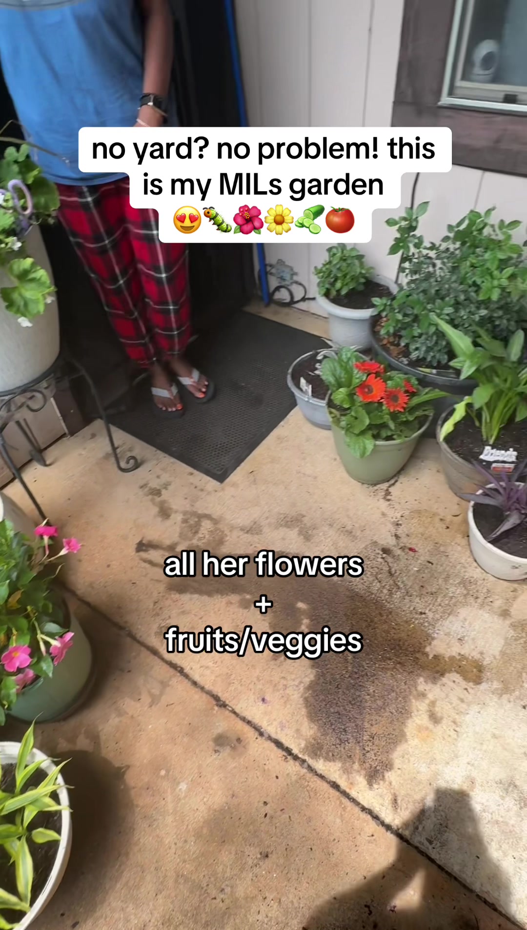 @allie ๐ซ๐ง๐โ