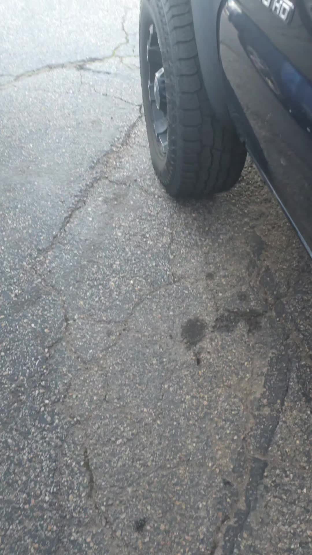 @Campbell'stire