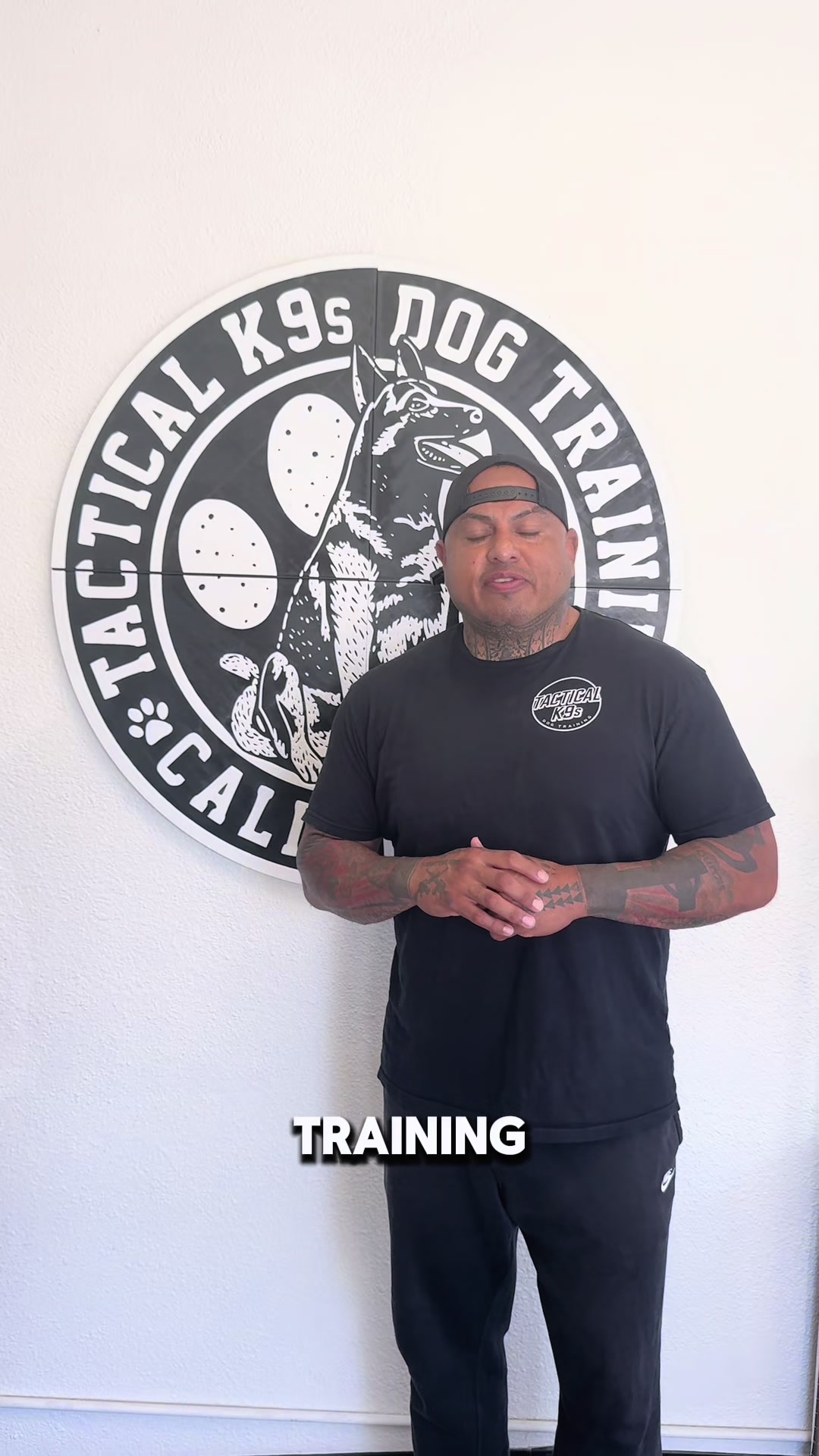 @Tactical K9s Dog Training