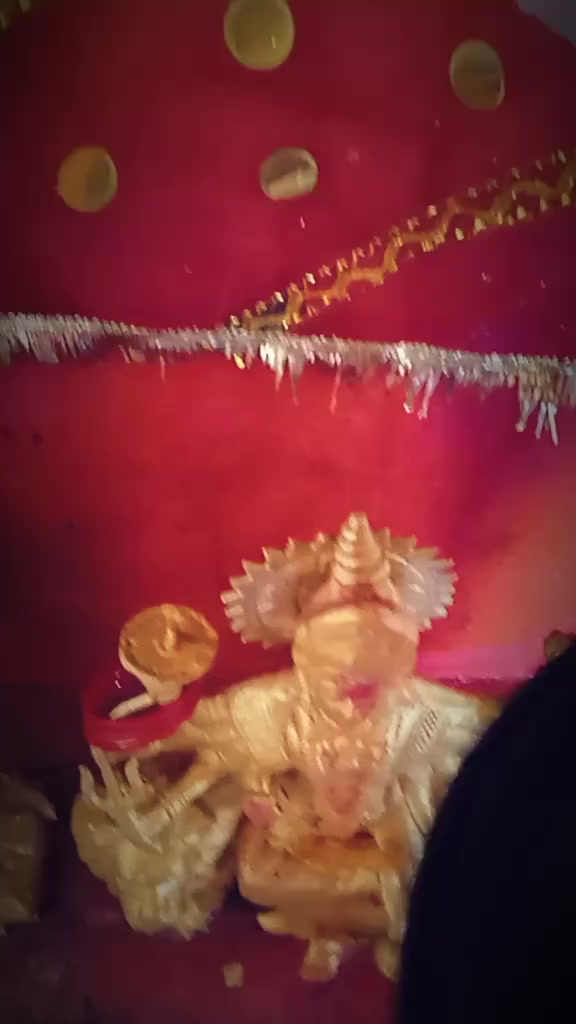 @alishahp