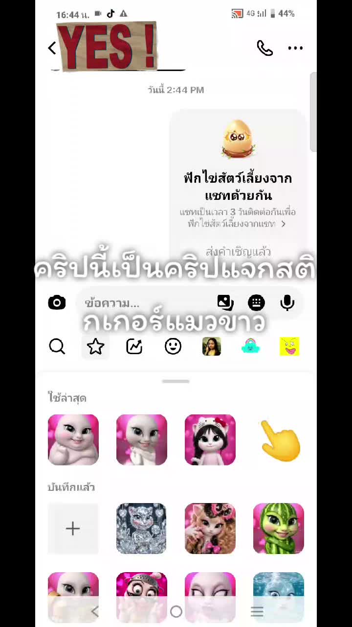 @Phasika
