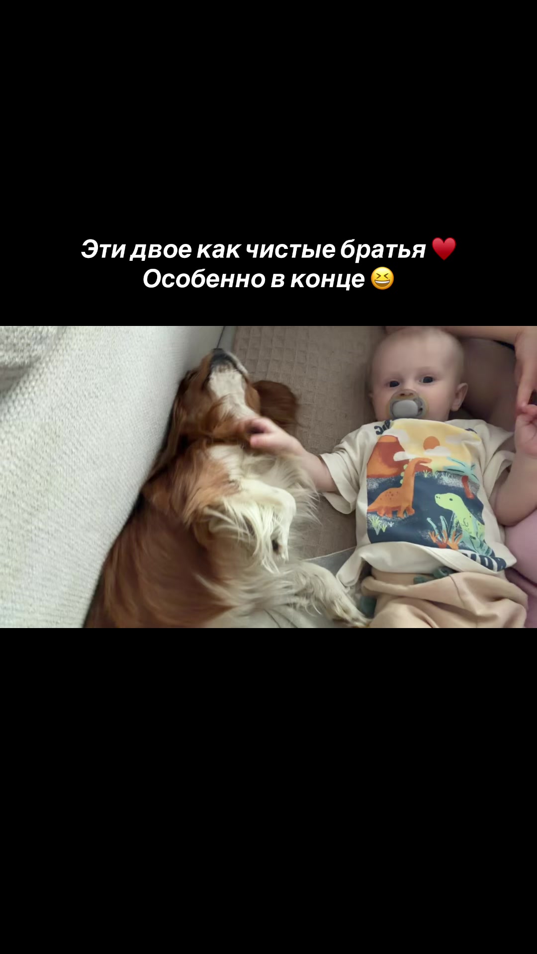 @тишуль