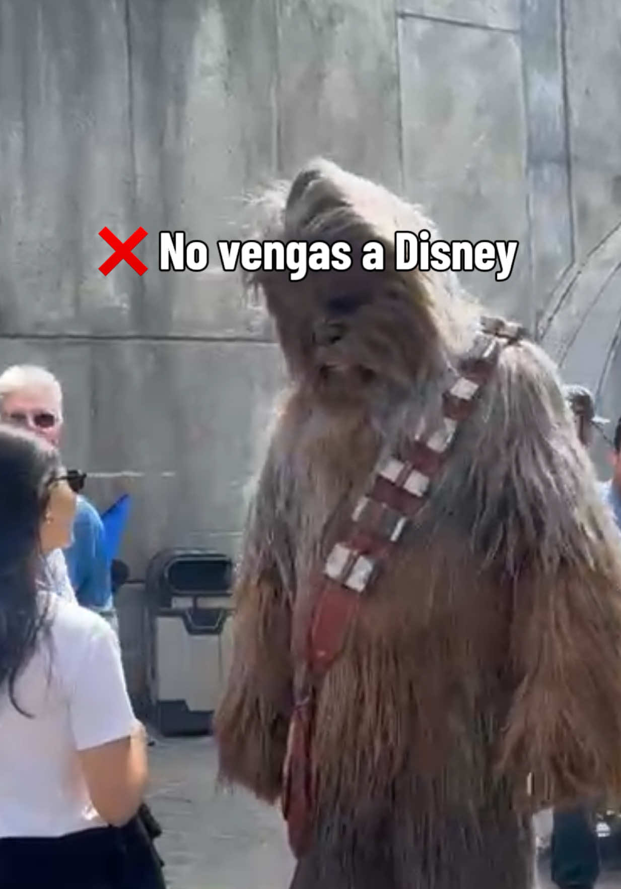 @eduardohasel