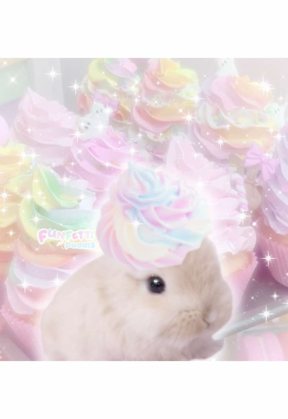 @bwunni 🧁💓