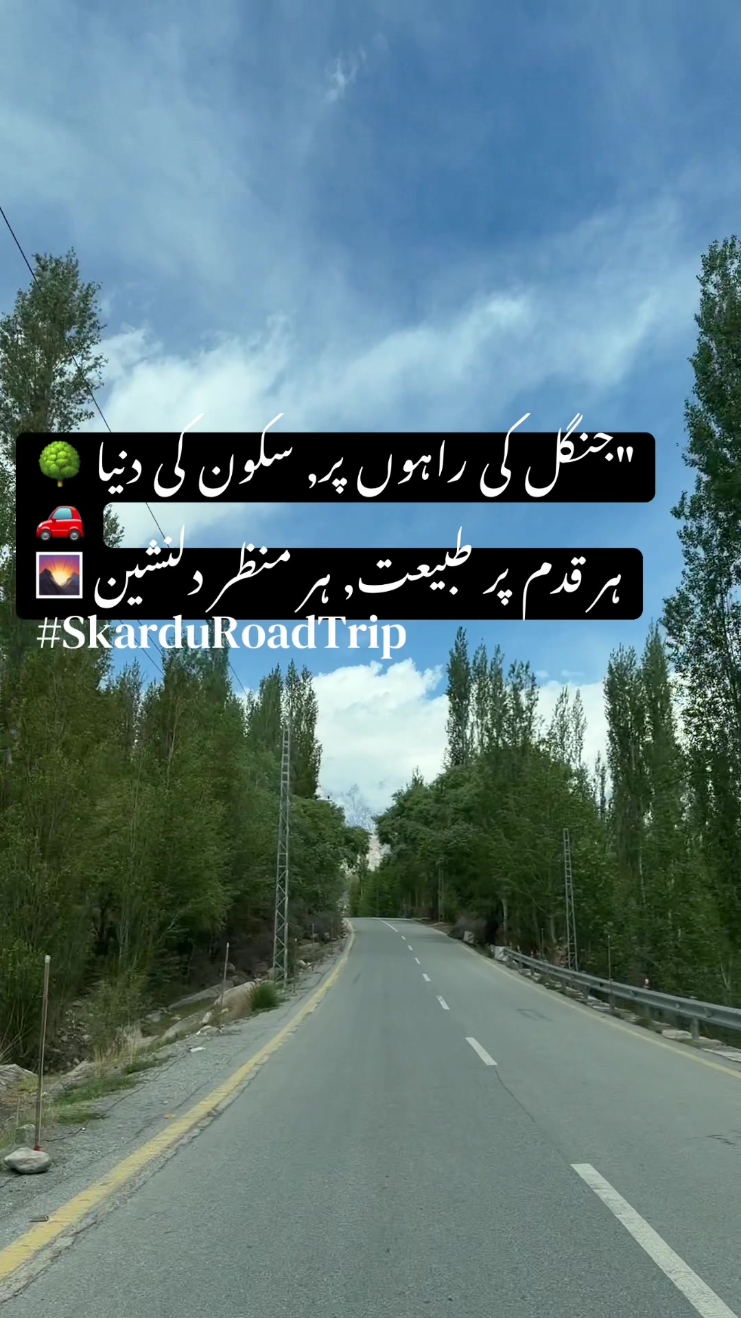 @aliyan_781