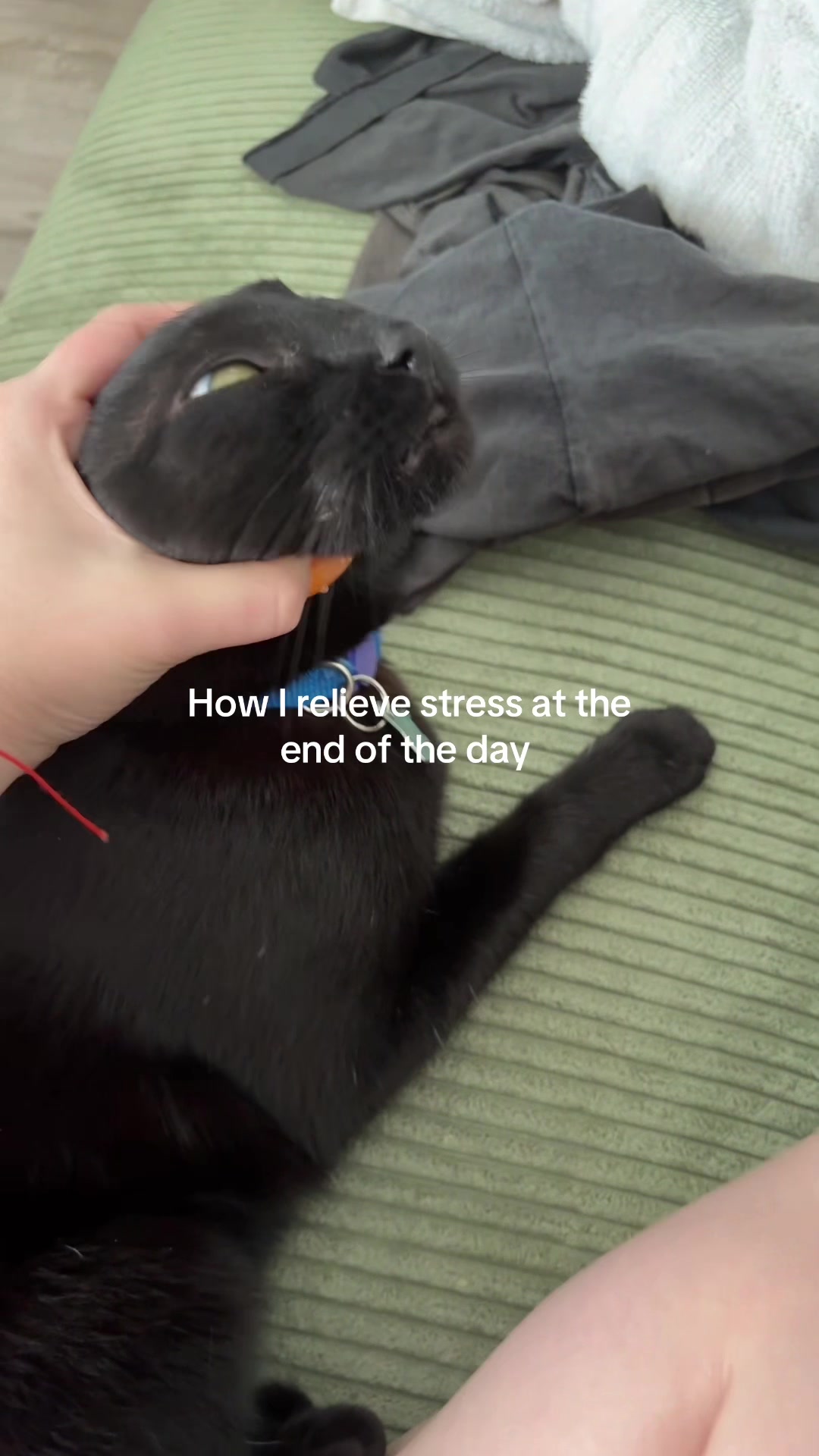 @Biggy smalls🐈⬛