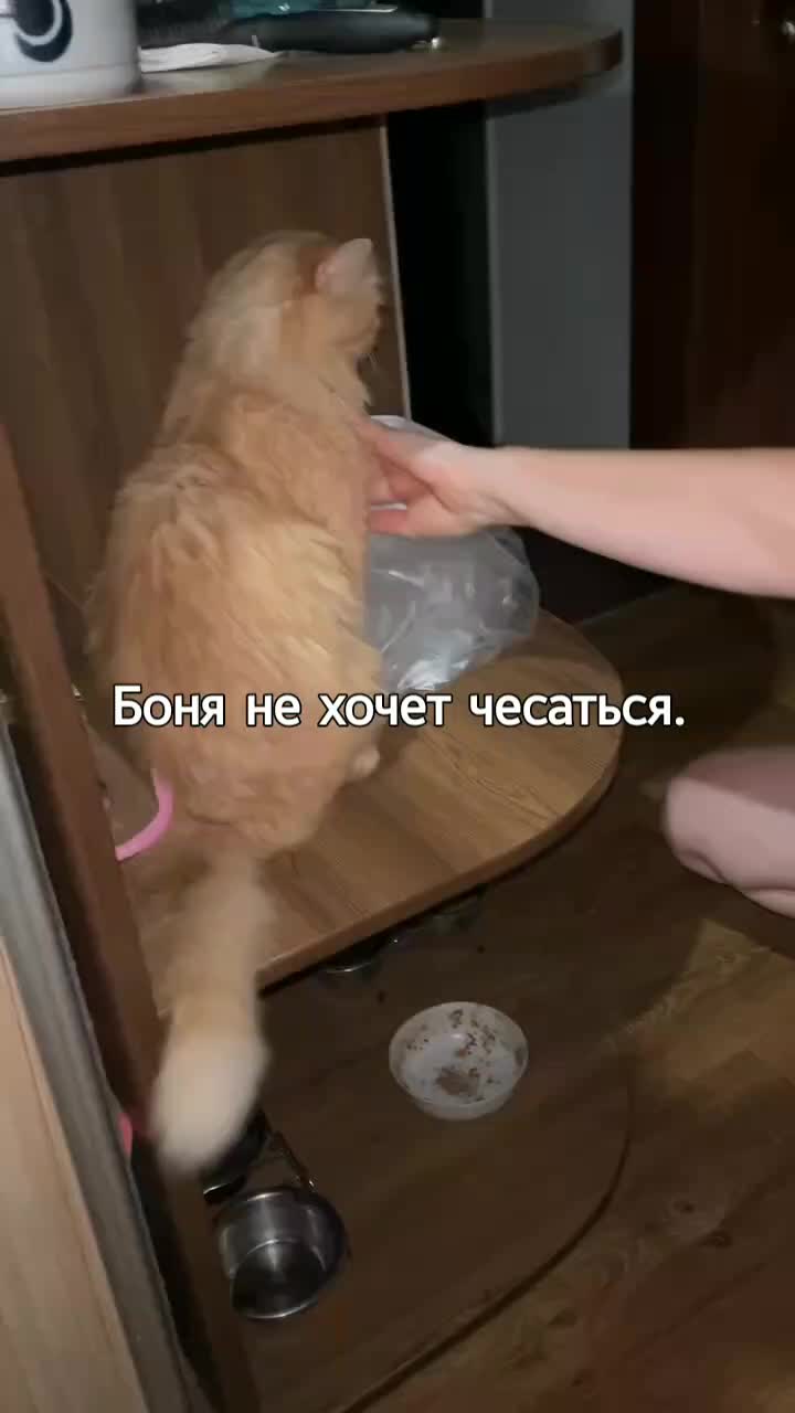 @Светлана