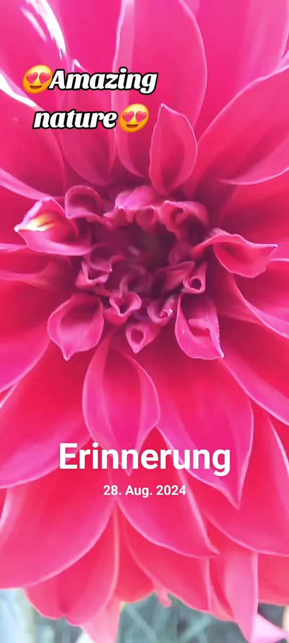 @DivineSoul💎