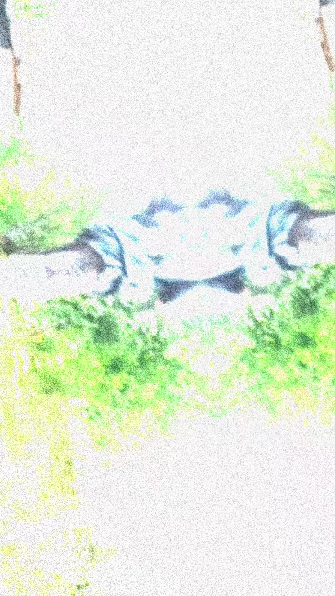 @7\ 𝘿𝙀𝙈𝙊𝙂𝙊𝙍𝙂𝙊𝙉𝙉 ☢