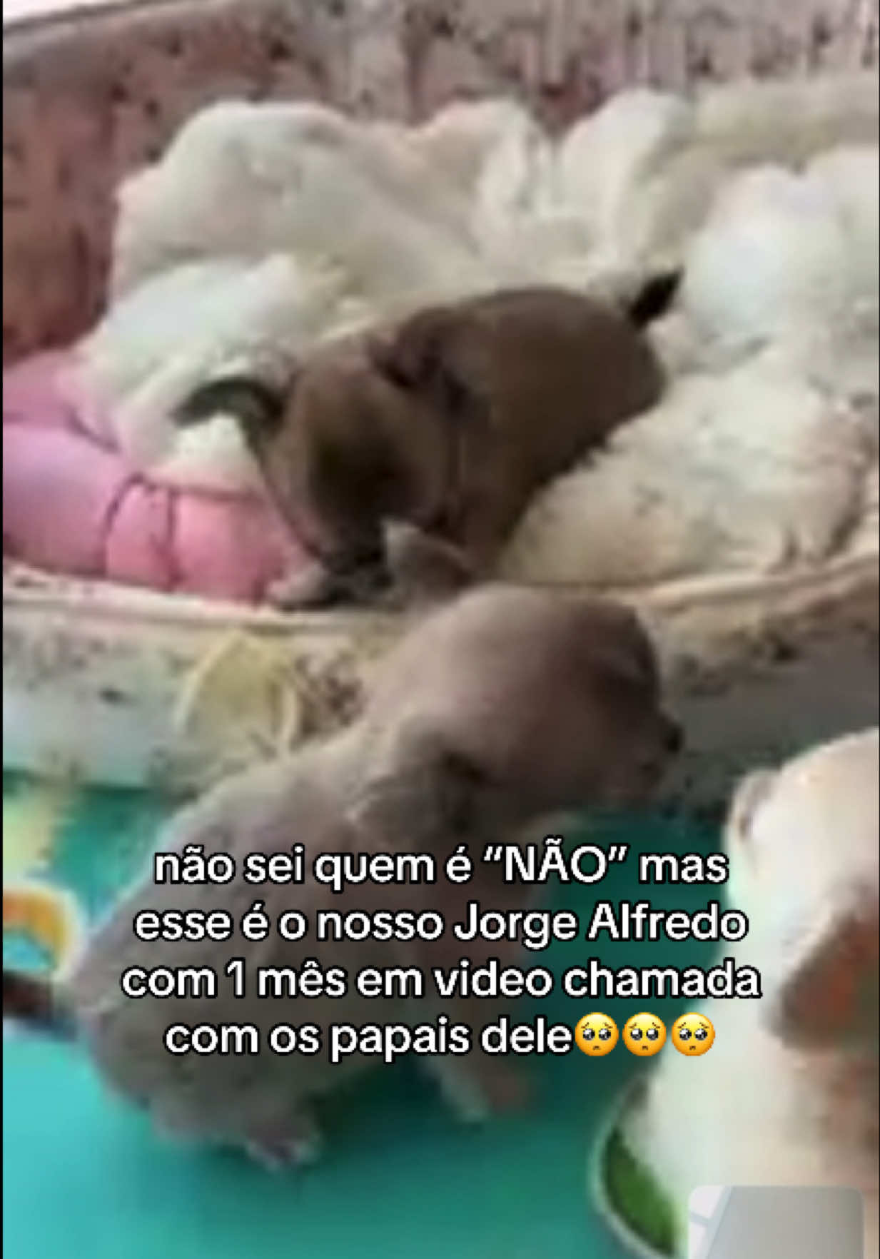 @Duda Flores