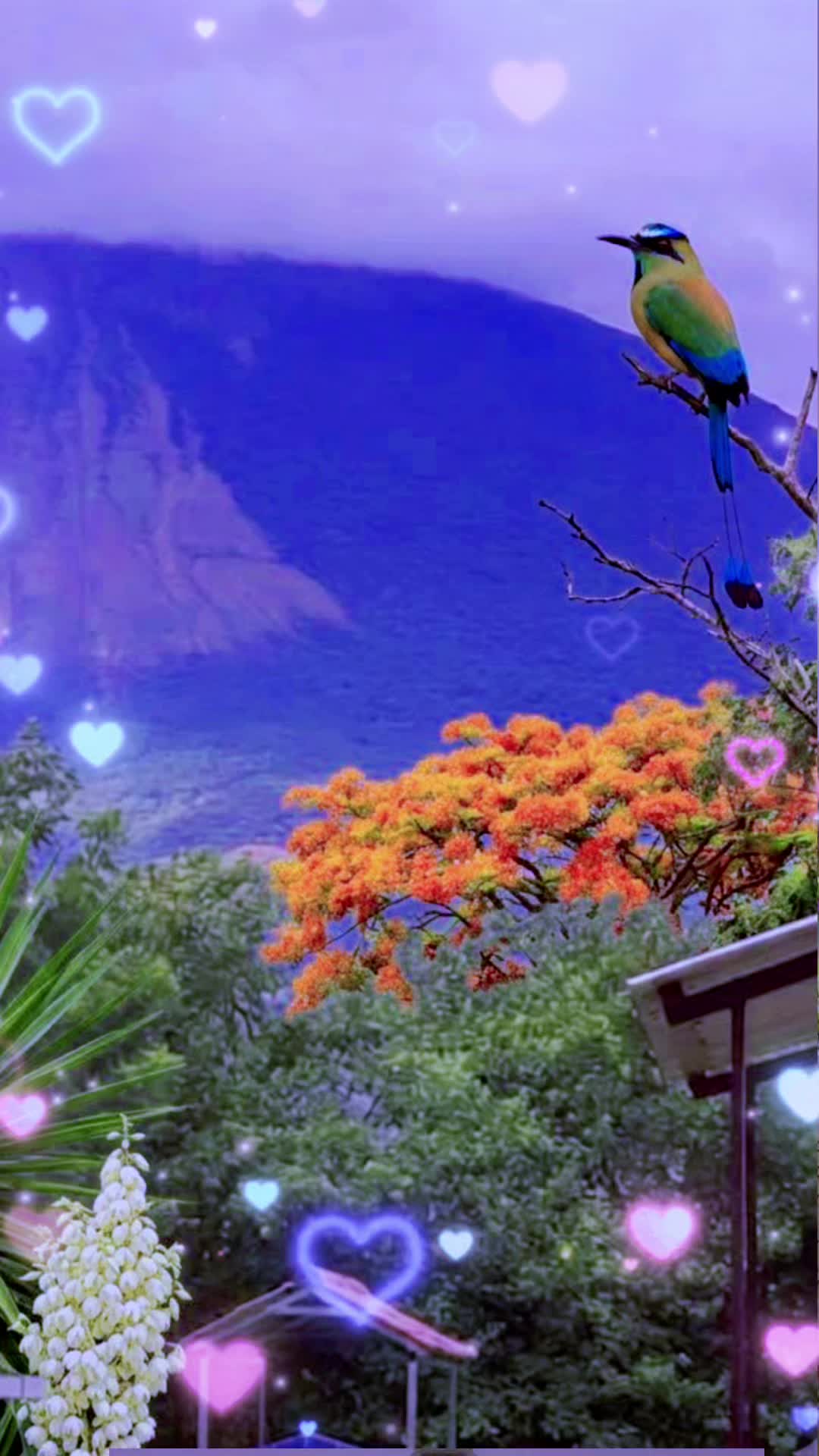 @anamar9