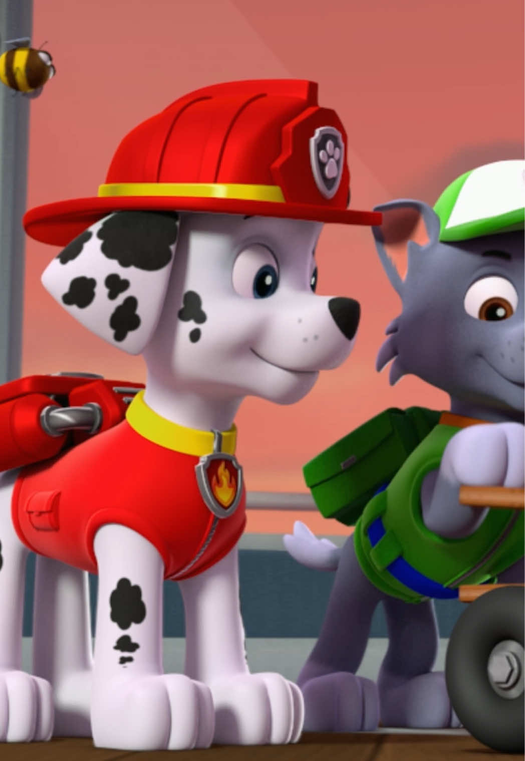 @pawpatrol