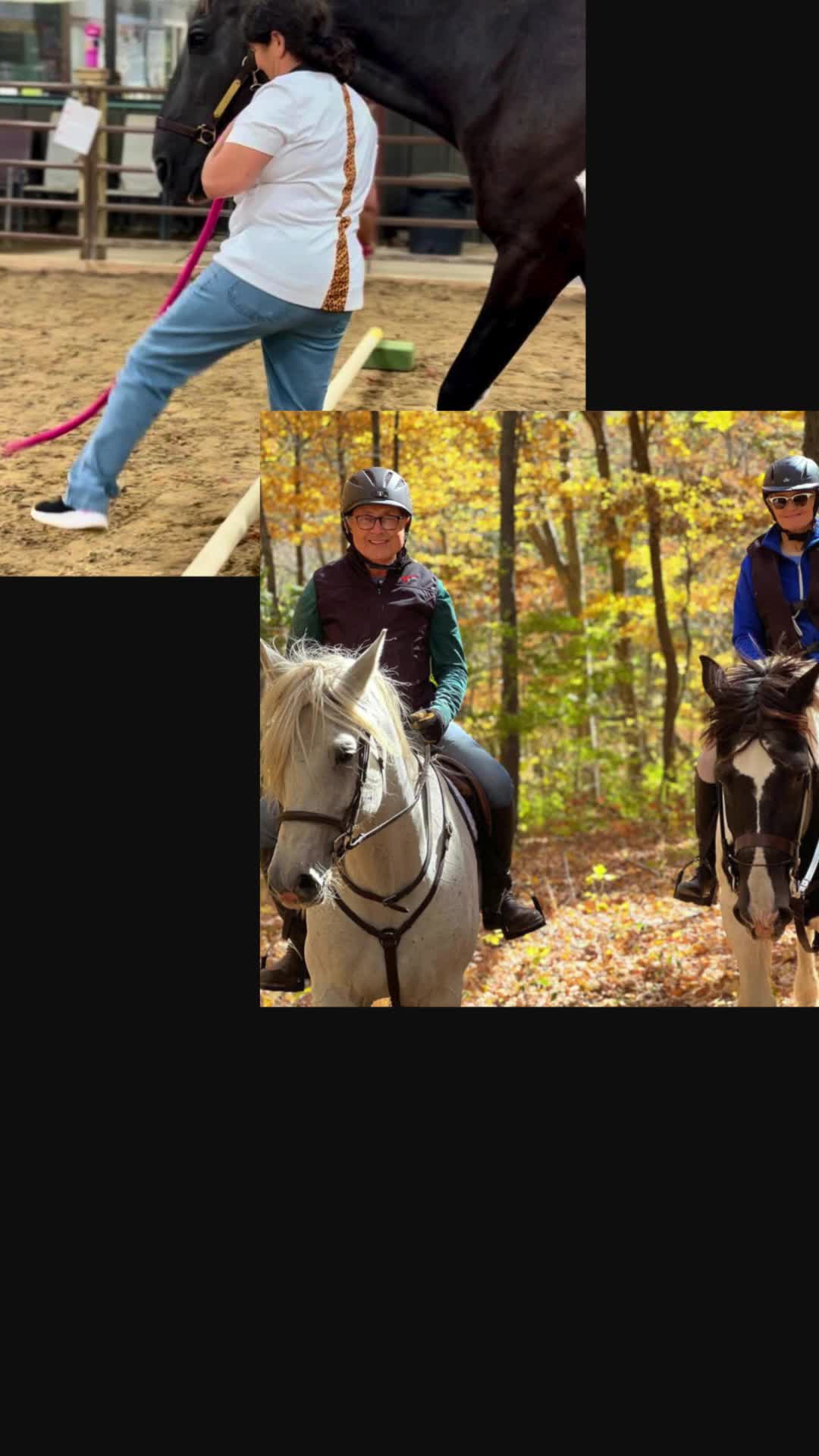 @Golden Horseshoe Equestrian