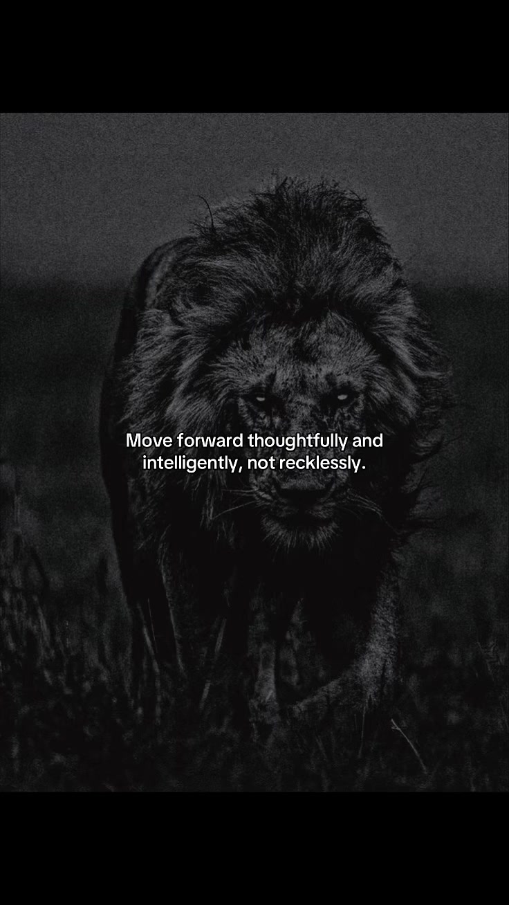 @Focused On Elevation🔑