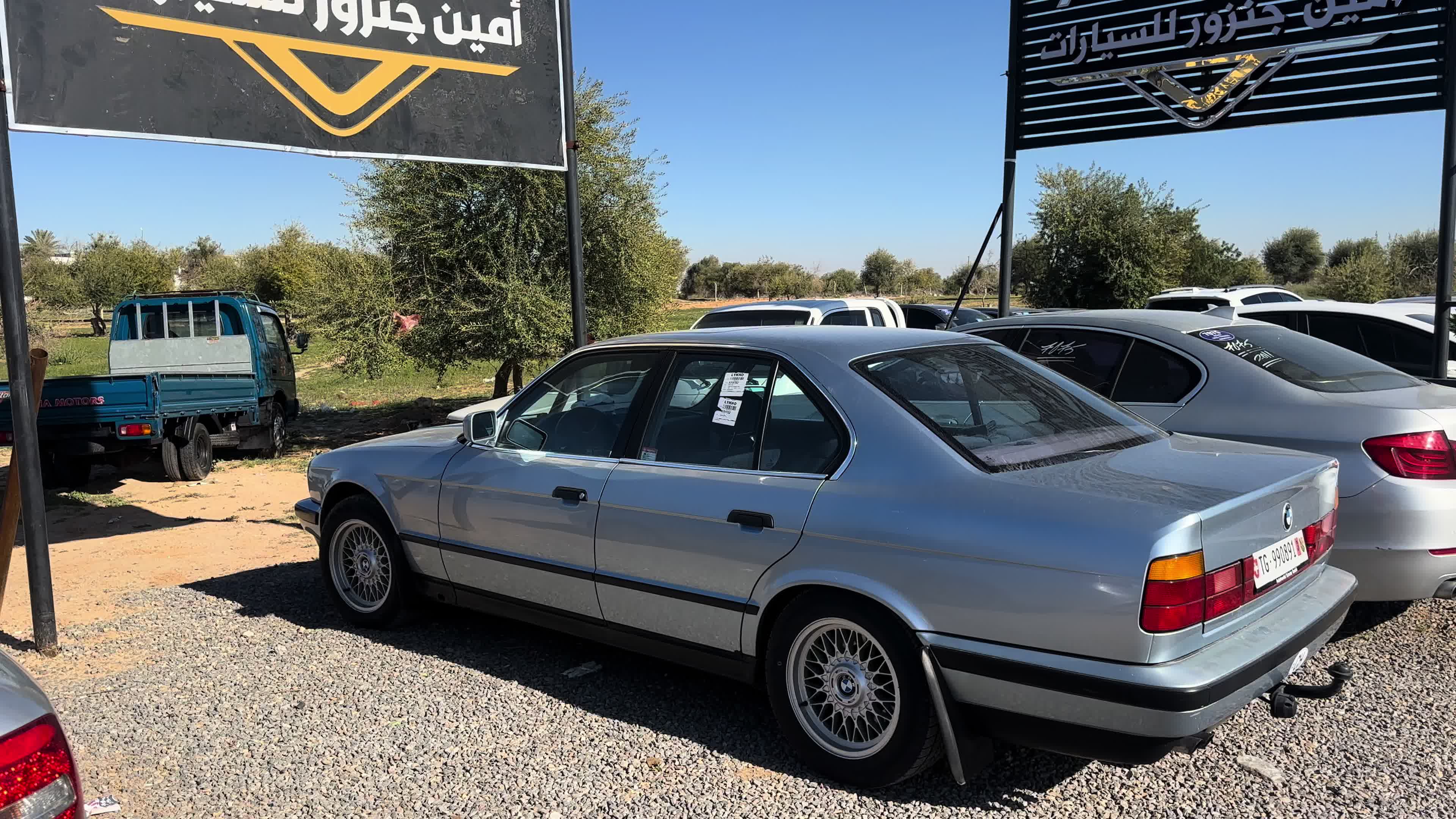 @امين جنزور