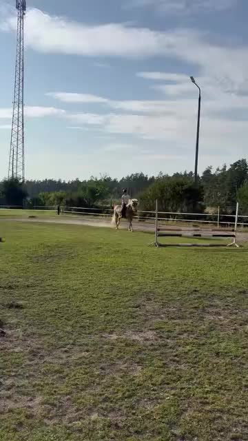 @TA OD KUCYKÓW🐴🐎