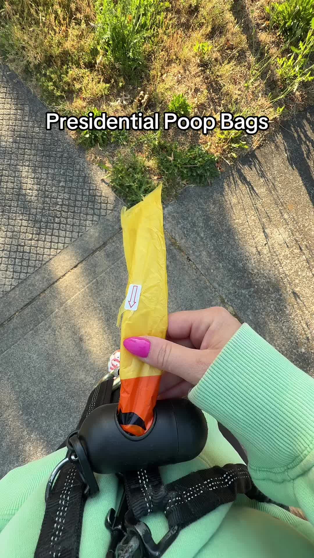@yaptrapped