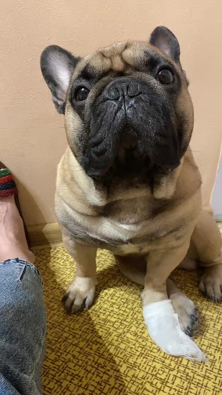 @_holly_bulls_
