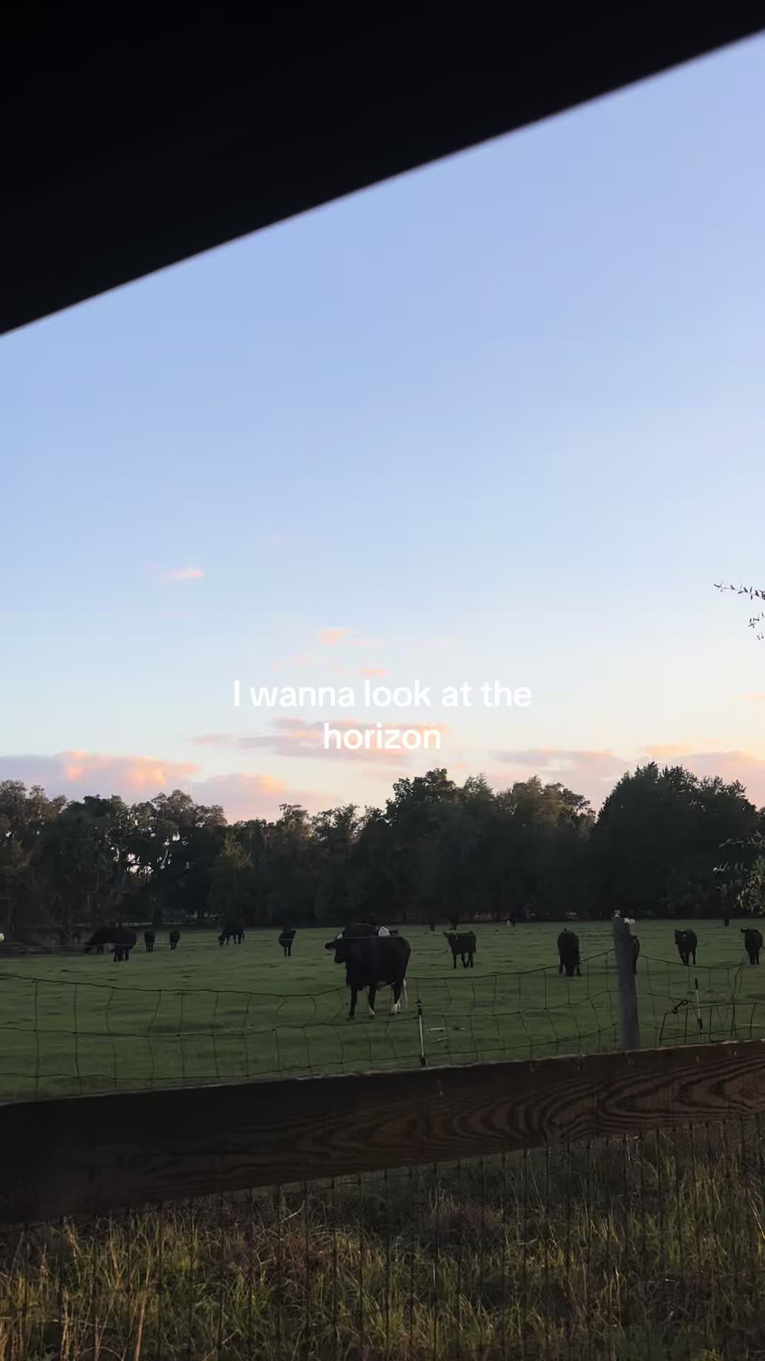 @countryroots_6_7_