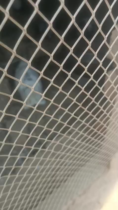 @𓆩K.brown Heart.بلوچ𓆪