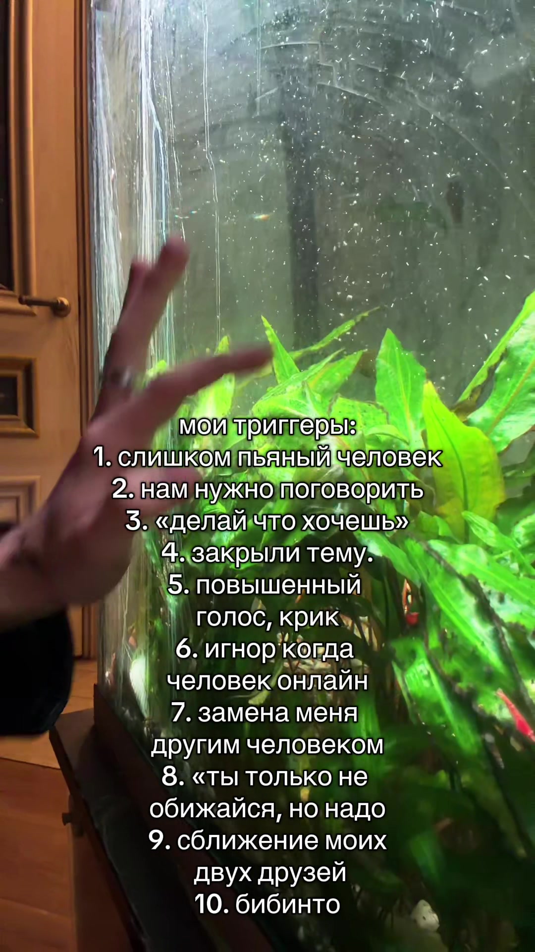 @тгк: aqulizi