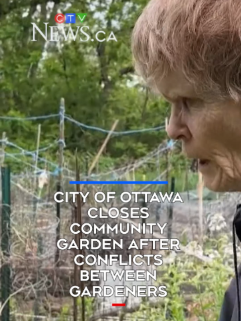 @CTVNews