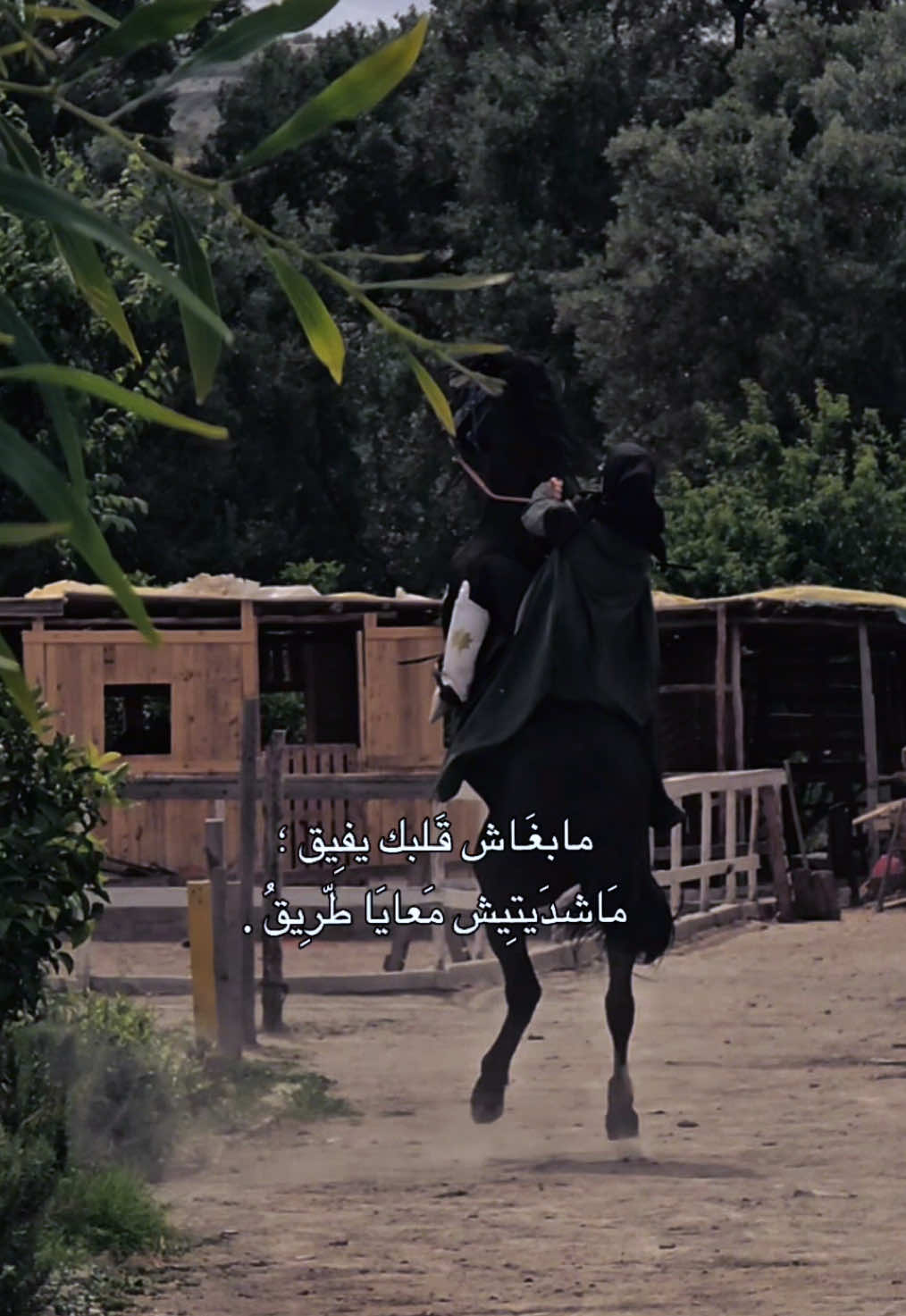 @cavaliere_ouidad