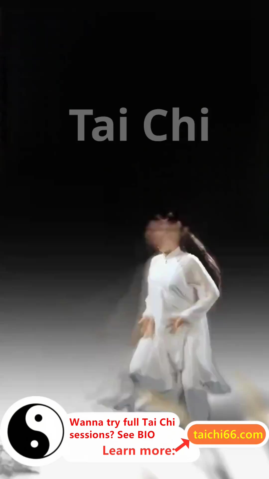 @HuaKai Taichi