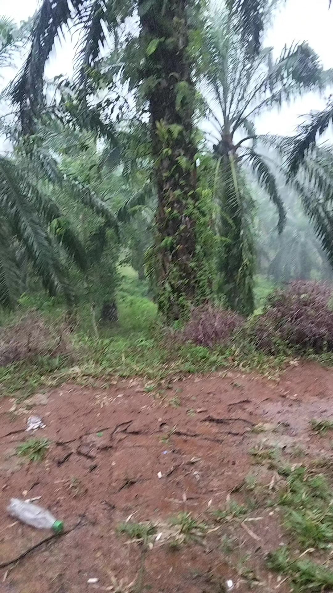 @kekasih bayangan