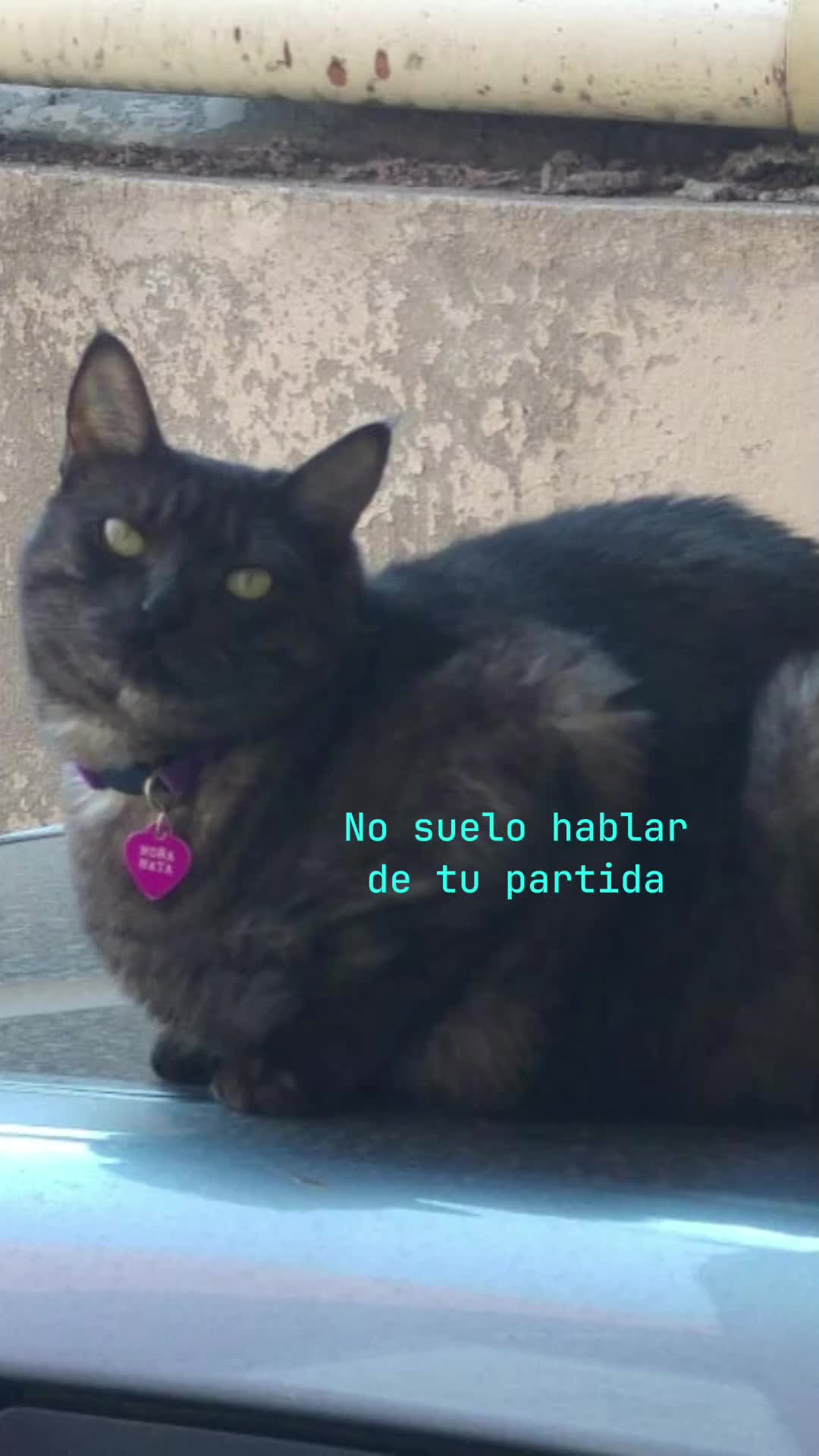 @Jenny Campos