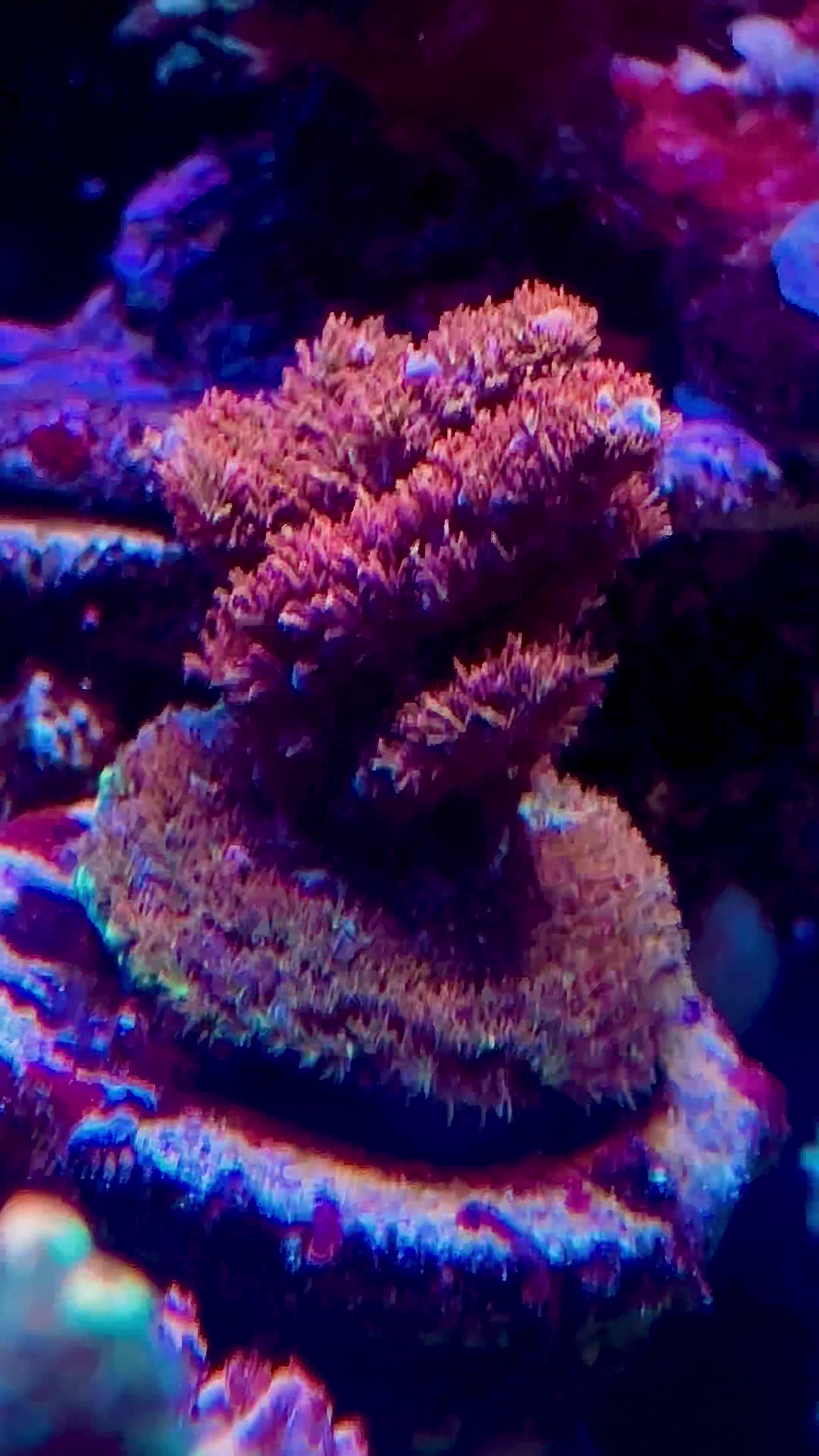 @SaltWaterShane