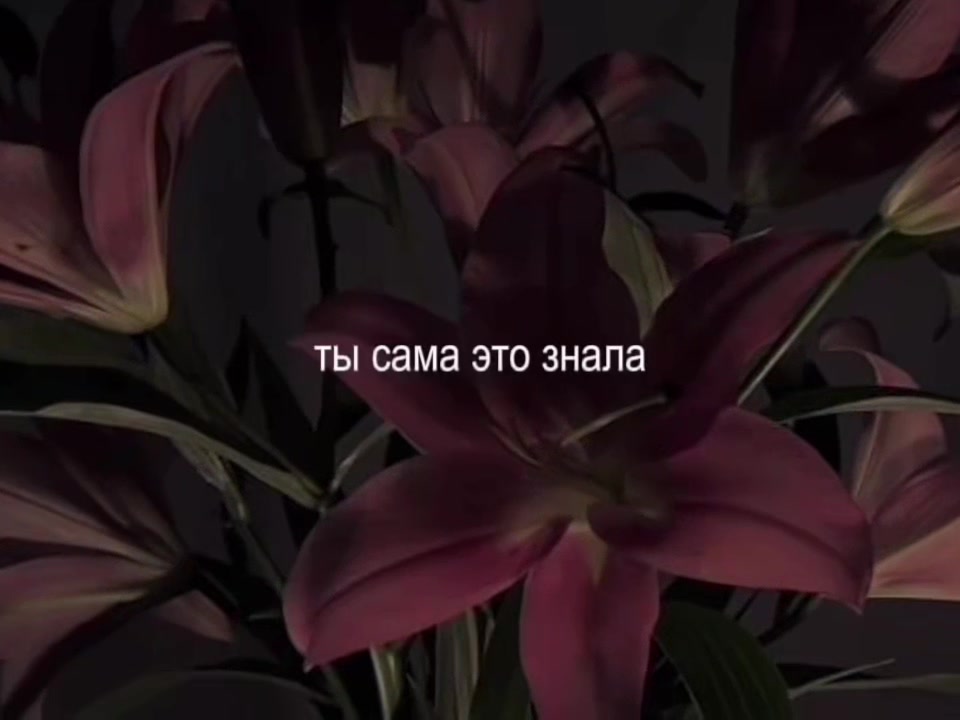 @Музыка для липсингов