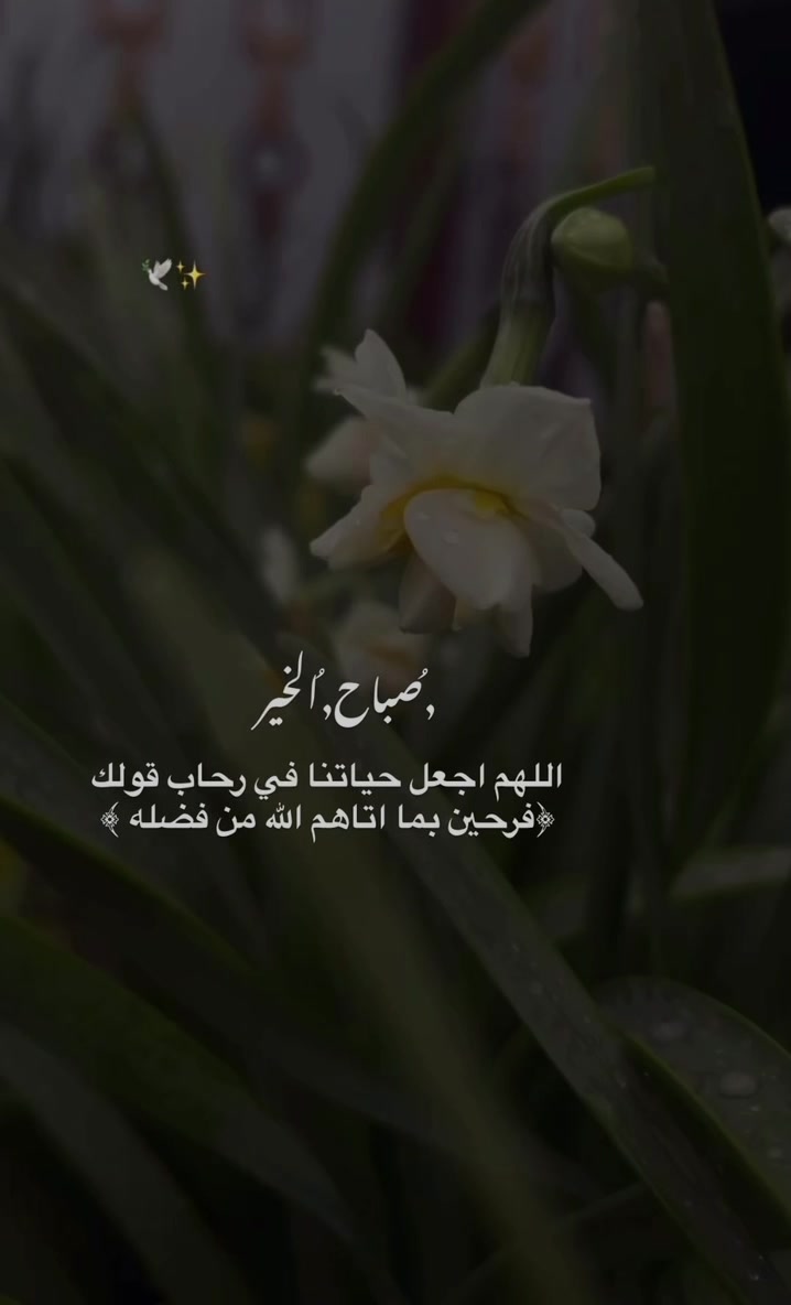 @لحظة الأمل 🫀🤍