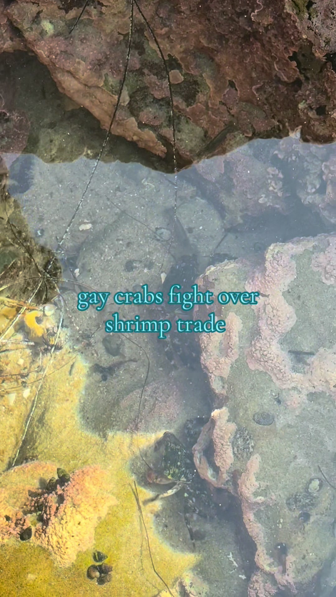 @๐