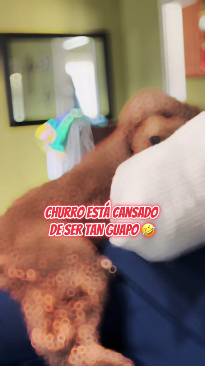 @Reyna y Churro 🐶😍