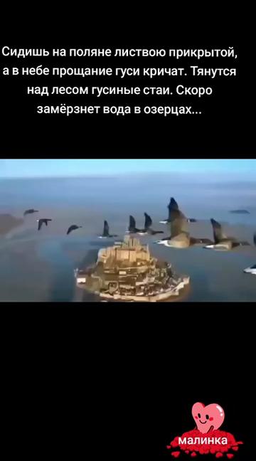 @ТINA