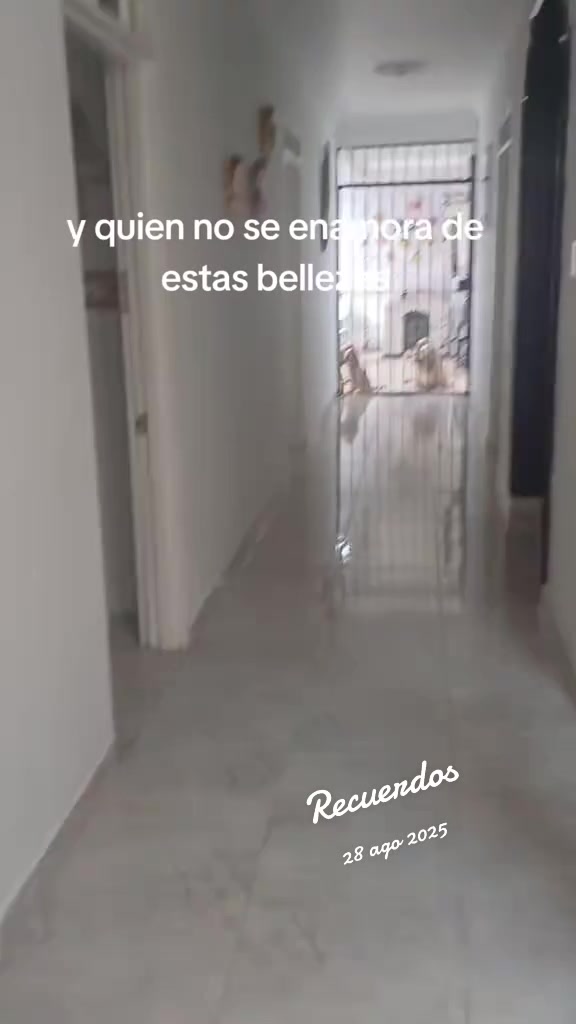 @dulce luna