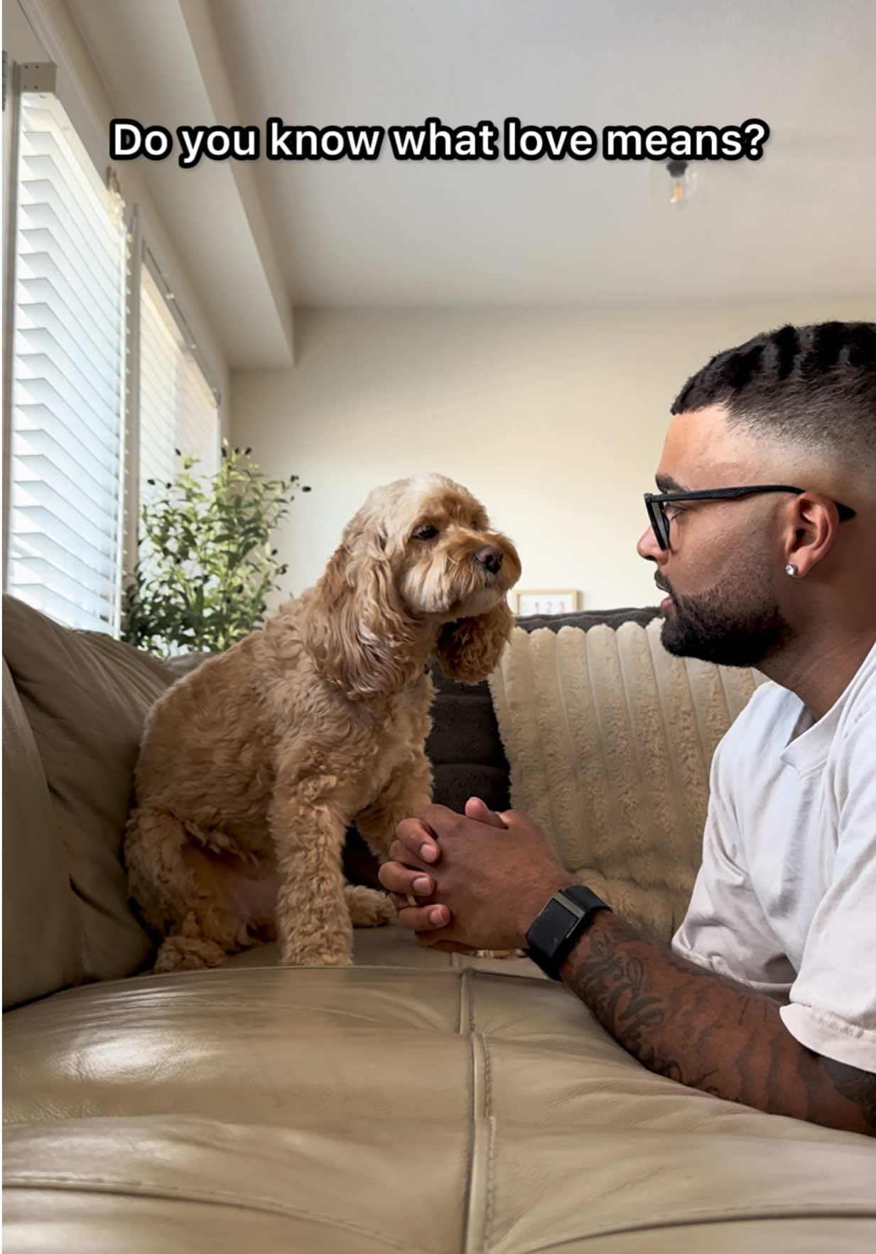 @LunaTheMiniCockapoo