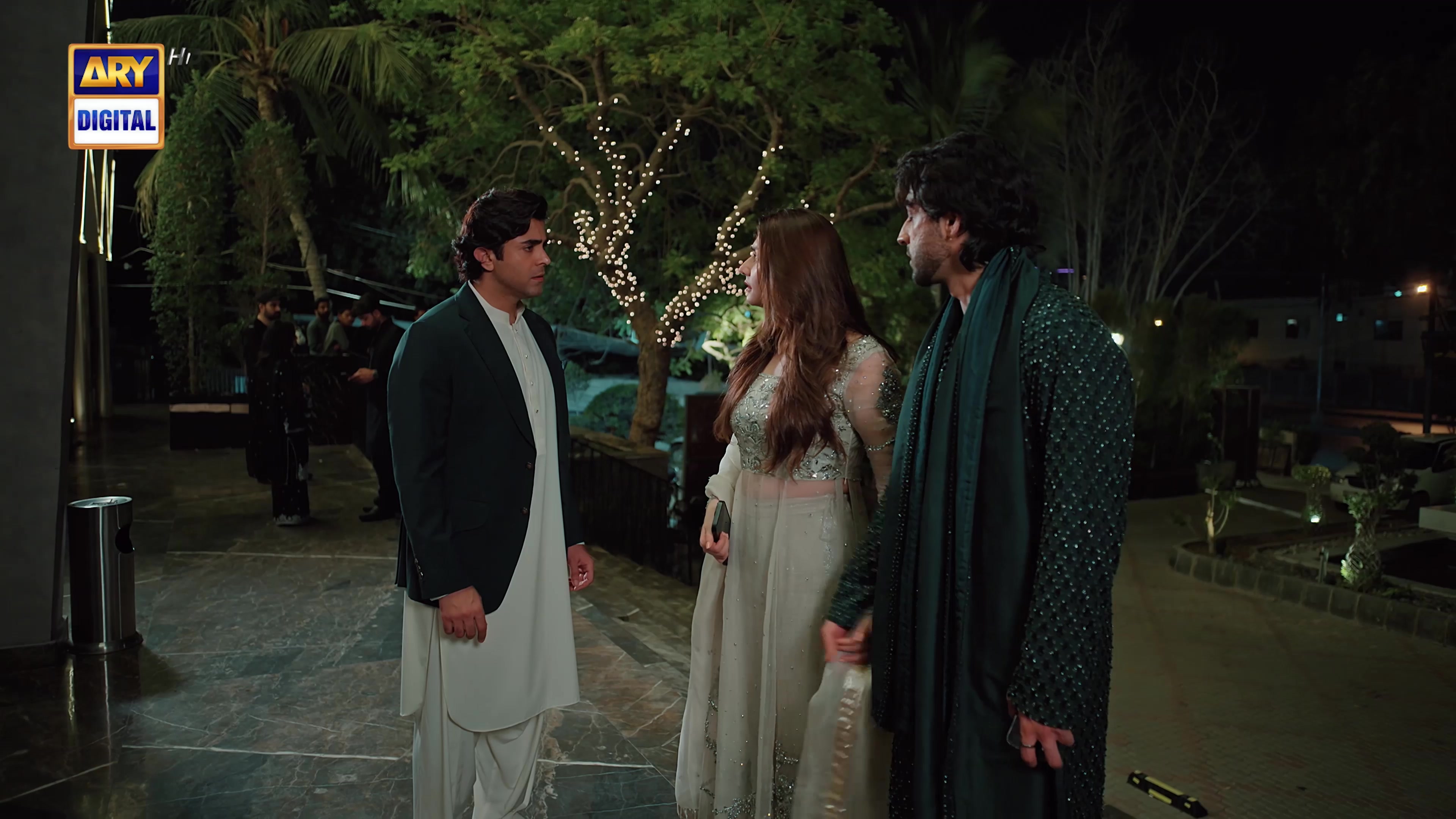 @ARY DIGITAL
