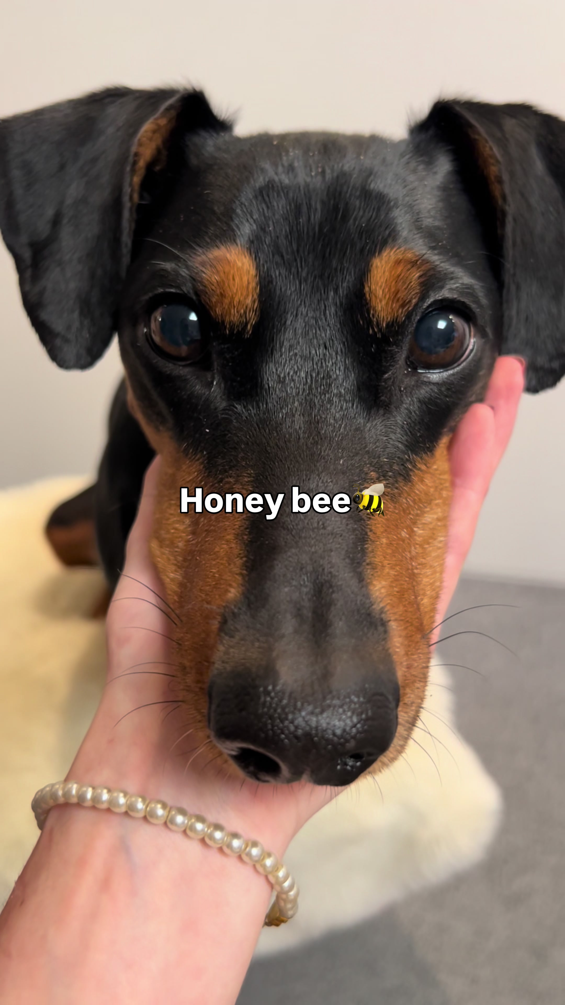 @AlvaTheHotDog