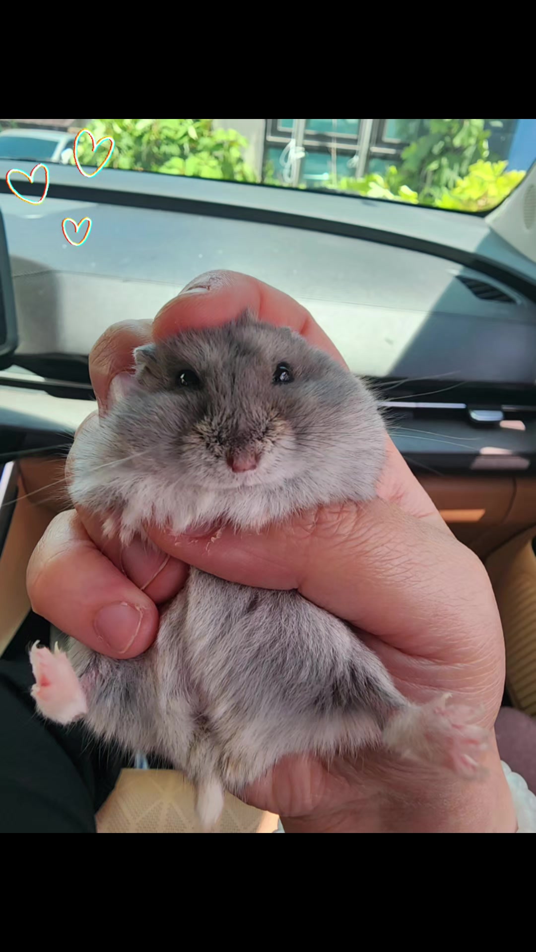 @👑반짝반짝🐿🍙🛵
