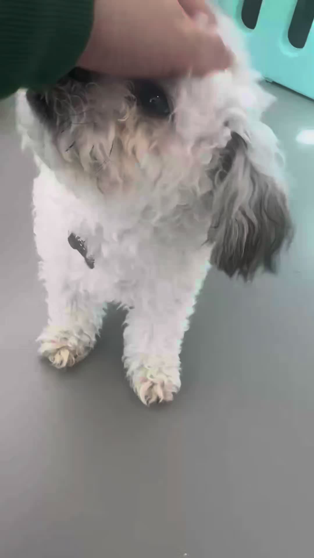 @토토엄마